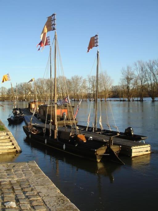 Appart Gite Les Oiseaux- Face Loire Quai Du Chatelet ออร์เลออง ภายนอก รูปภาพ