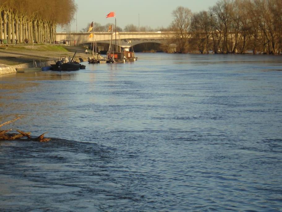 Appart Gite Les Oiseaux- Face Loire Quai Du Chatelet ออร์เลออง ภายนอก รูปภาพ